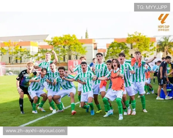 西甲联赛各球队标志集锦与球队文化解读